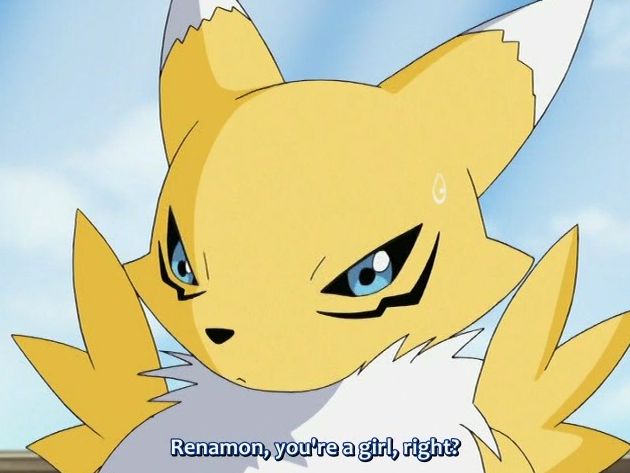Renamon, you&apos;re a girl, right?