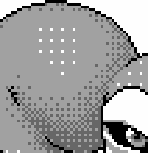 bayer_pattern_renimpmon_bad
