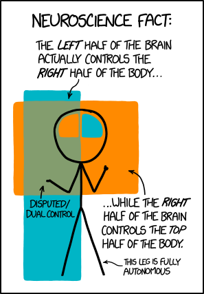 xkcd_brain_hemispheres