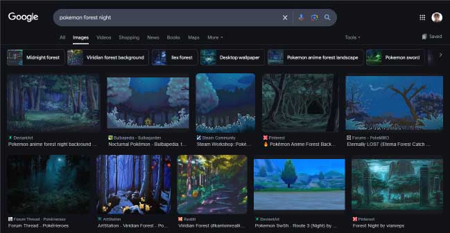 search-for-pokemon-forest-at-night